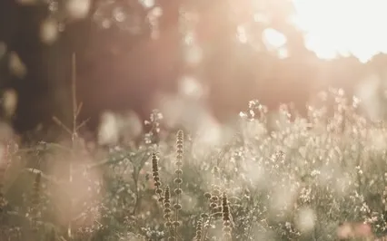 Shining Part 1 ( Piano Live March 23)