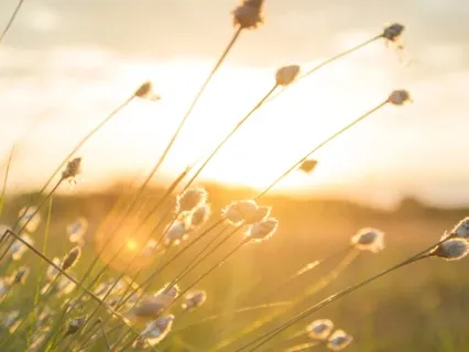 Shining Solar Plexus Meditation