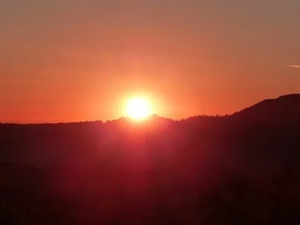 Shining Solstice Harp with Blackbirds & Seagulls - Uplifting