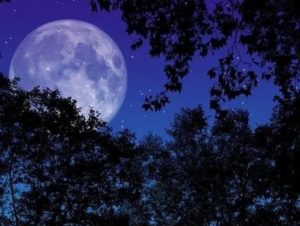 Shine Brightly Affirmations Meditation