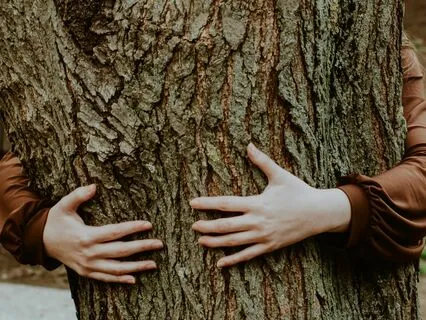 Shinrin-Yoku 7 Minute Forest Bathing Crystal Sound Bath