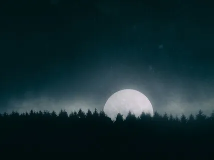 Shinrin Yoku Sleep Practice - Forest Bathing