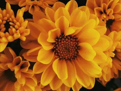 Shiva, Ancient Wisdom Found Within The Muladhara Chakra