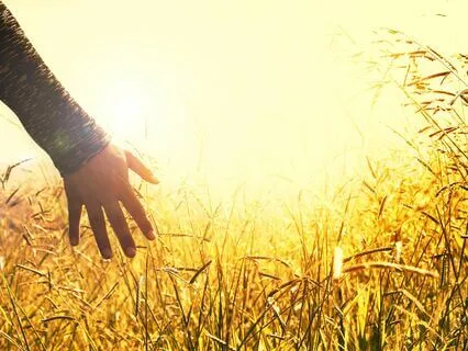 Shiva Song transforms any situation needed to be transformed