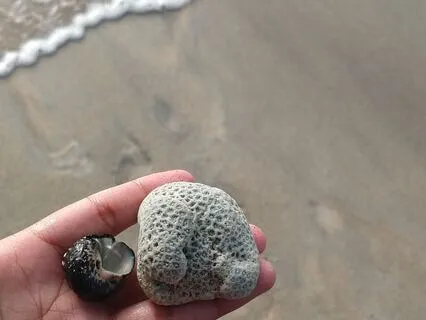 Shores Of Your Heart - A Meditation For Hard News