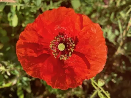 Short 8-Minute Meditation For Focus And Relaxation