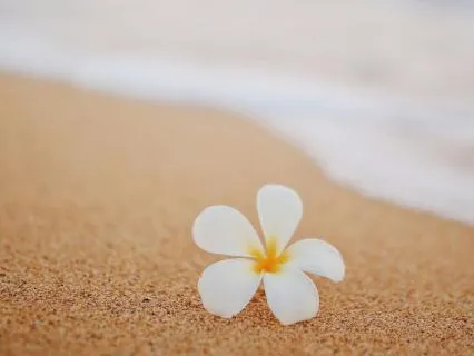 Short And Gentle Body Scan To Soften