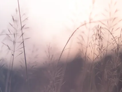 Short And Radical Welcoming