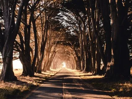 Short And Super Sweet Morning Practice