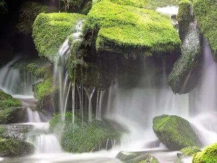 Short And Sweet Cortisol Detox Breathwork Flow