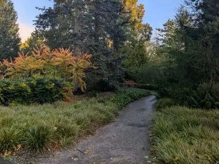 Short And Sweet Grounding Meditation