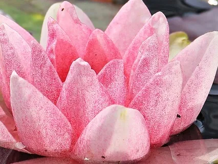 Short And Sweet Meditation