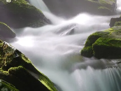 Short And Sweet Presence And Clarity Breathwork Flow