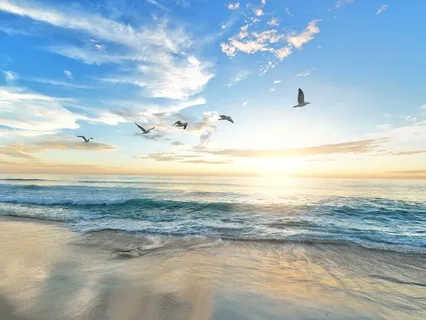 Short & Sweet Guided Practice