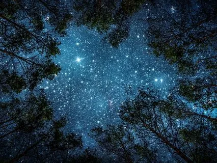 Short & Sweet Sleep Meditation