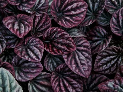 Short And Sweet Trauma Sensitive Yoga Practice