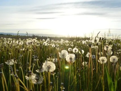 Short Anxiety First Aid