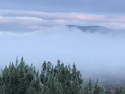 Short Awareness Practice