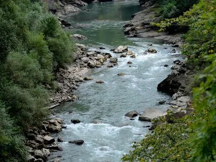 Short Beginner Breath Awareness Meditation