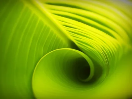 Short Body Scan For Beginners