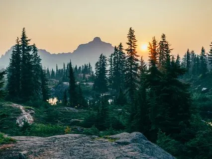 Short Body Scan For Chronic Pain