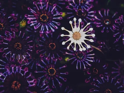 Short Body Scan Meditation