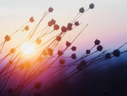 Short Body Scan To Wind Down And Fall Asleep