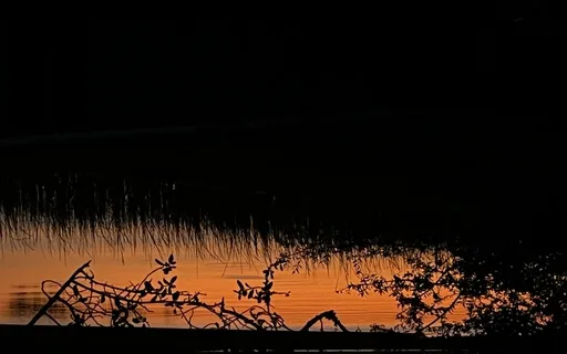 Short Break For Ease And Peace