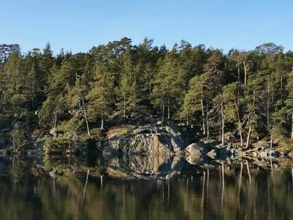 Short Break Yoga Nidra