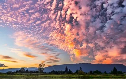 Short Breath Focus And Mindfulness Meditation