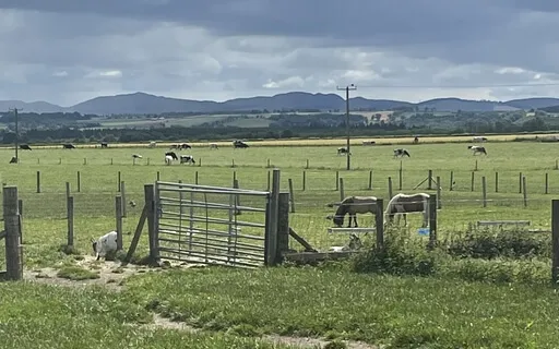 Short Breathing Anchor