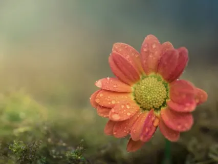 Short Breathing Meditation 