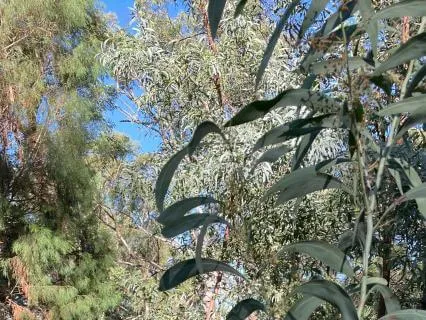 Short Breathing Meditation For Calm, Clarity And Confidence