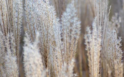 Short Breathing Meditation For Presence