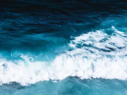 Short Breathing Meditation: Taming the Amygdala