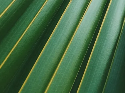 Short Breathing Practice For Clarity & Calm 