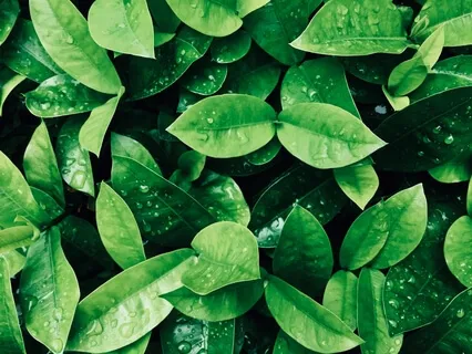 Short Breathing Space