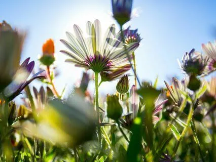 Short But Powerful Meditation: You Are Love And Deserve Love