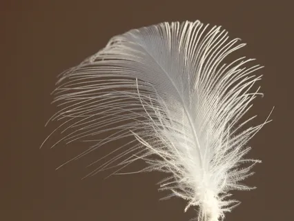 Short Calming Meditation