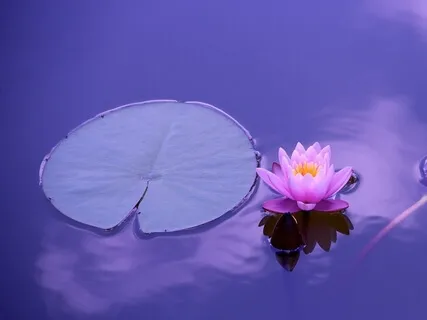 Short Centering & Grounding Meditation