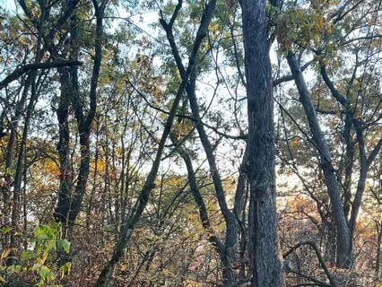 Short Centering Practice