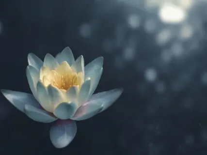 Short Chakra Tune Up