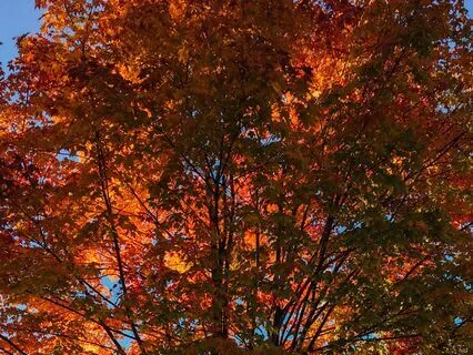 Short Check-In To Ground Yourself And Become Present