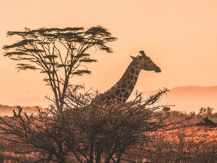 Short Contemplation - Self-Love - Sawubona