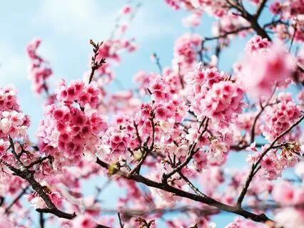 Short Daily Prayer For Gratitude