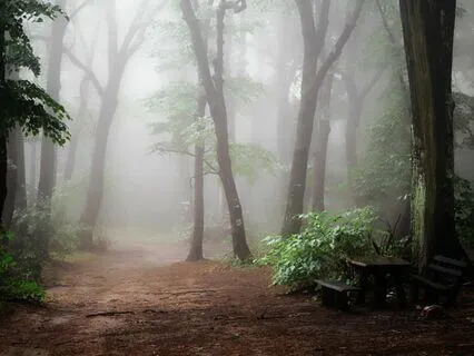 Short Ecstatic Dance Journey - Release Your Frustration Now