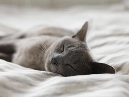 Short, Effective Sleep Audio To Remedy Overthinking