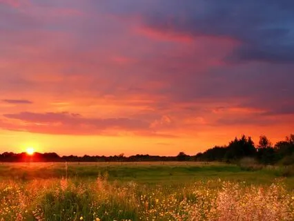 Short Embodied Check-in