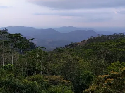 Short Emotional Regulation Practice With Music