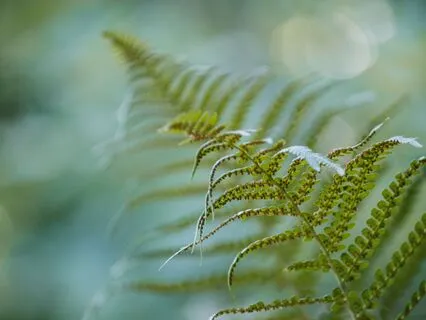 Short Energizing Dynamic Breathwork Flow